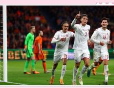 斯洛文尼亚队在欧预赛中步入正轨，雄心勃勃