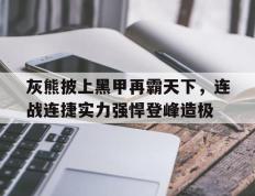 包含灰熊披上黑甲再霸天下，连战连捷实力强悍登峰造极的词条