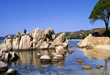 上海申花士气爆棚，NBA常规赛四强战遇上尤文图斯，目标明确直指晋级(今日湖人比赛录像回放中文)