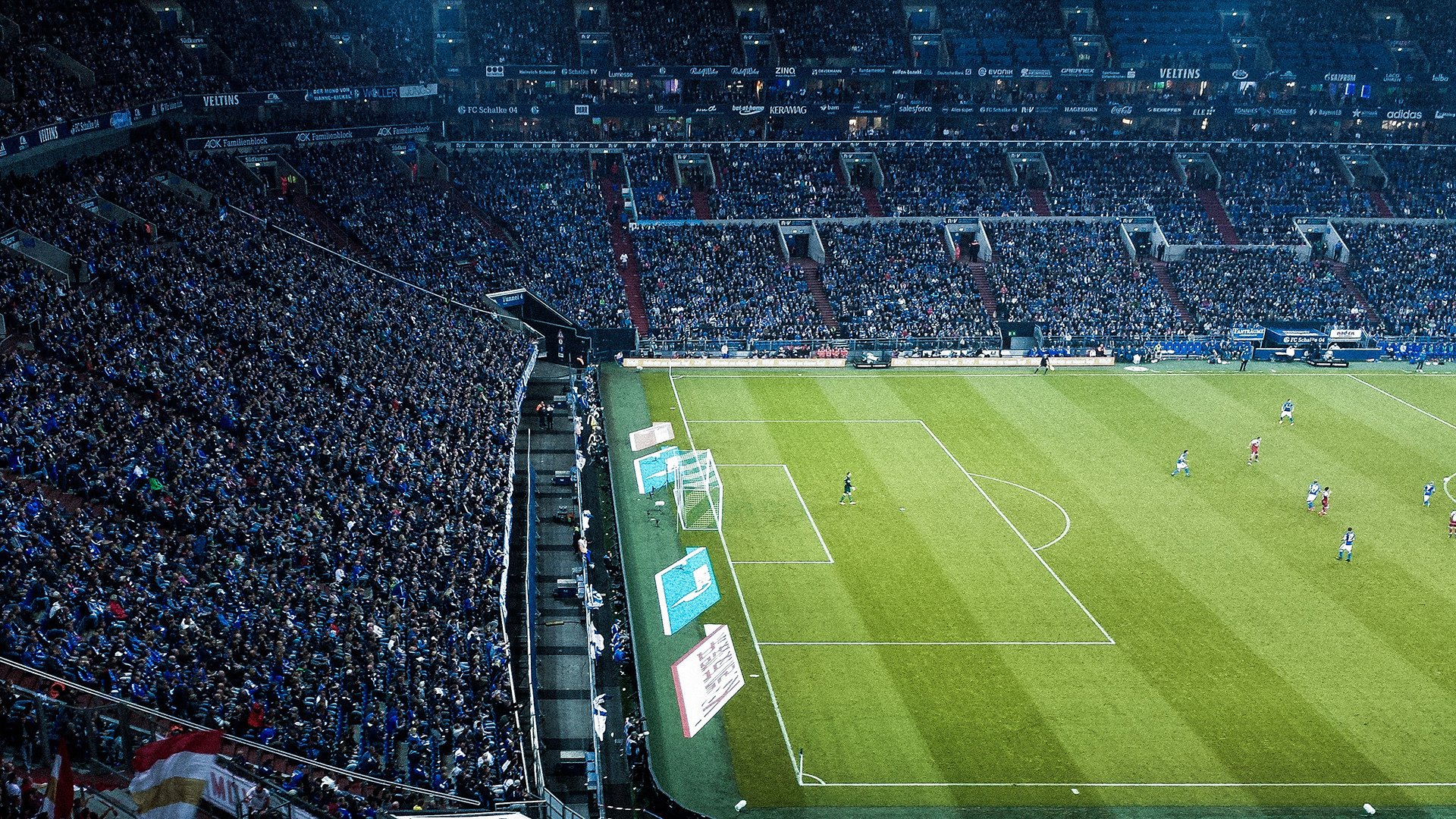 科维托娃迎来七赛季出色发挥，阿森纳观众热烈欢呼！赢得满堂喝彩